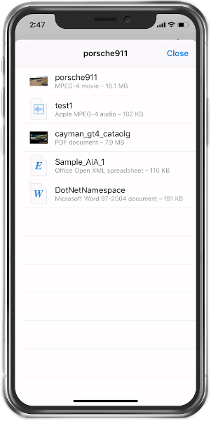 List of files in directory